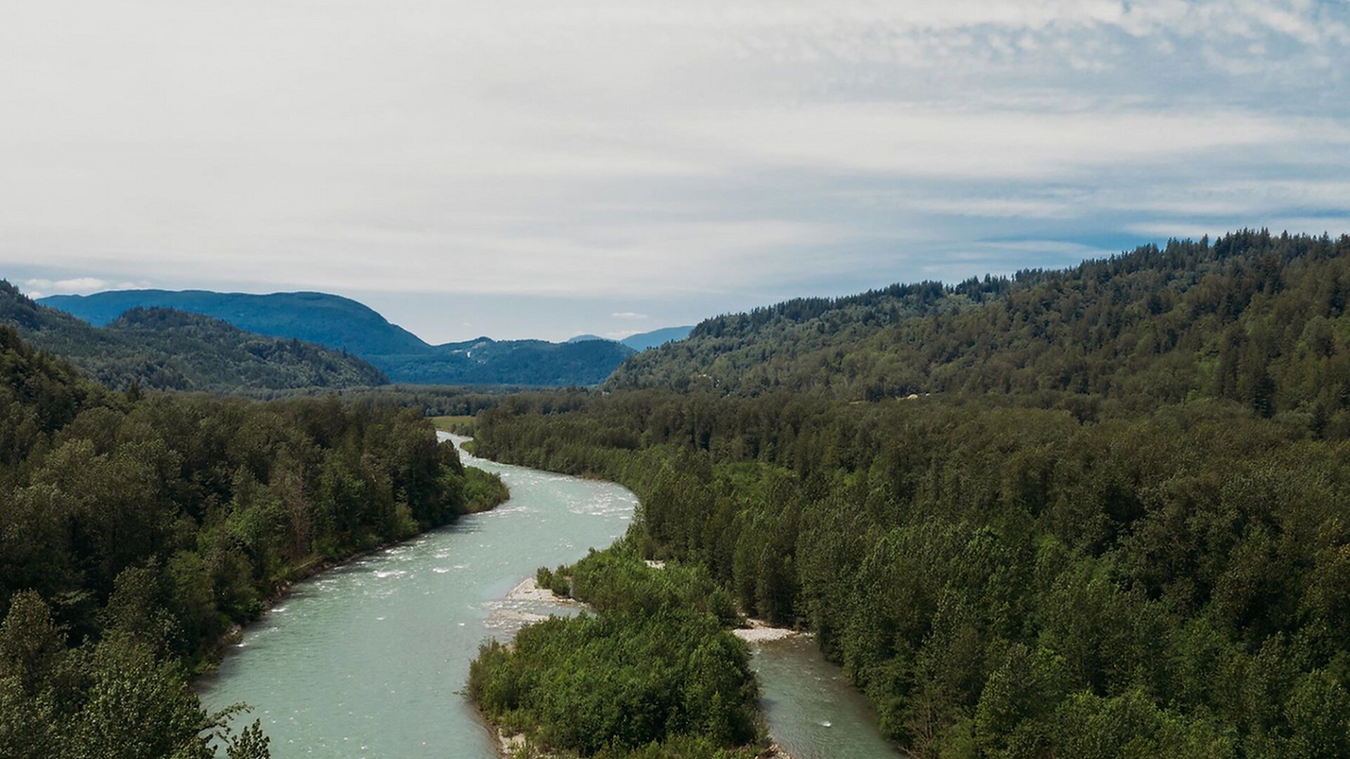 Drone shot of the river