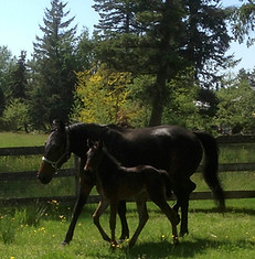 Mom & Baby