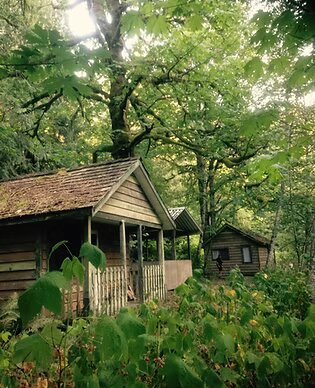 Cirrhosis of the River (Cabin)